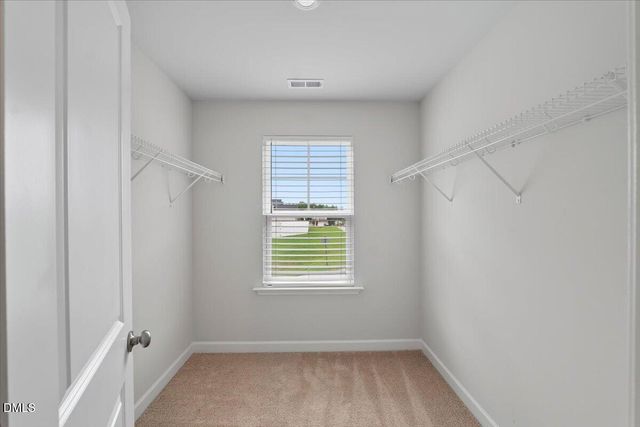 393 Badger Pass Drive, Clayton, NC 27527