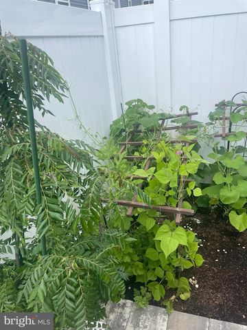 13516 GOLDENEYE CIR, Clarksburg, MD 20871