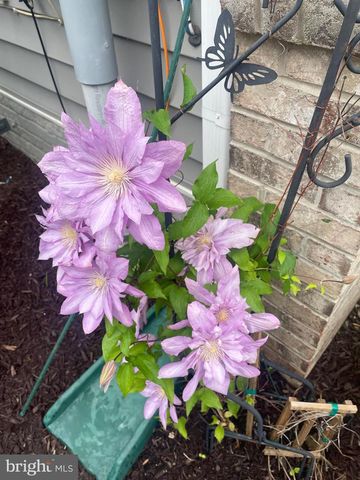 13516 GOLDENEYE CIR, Clarksburg, MD 20871