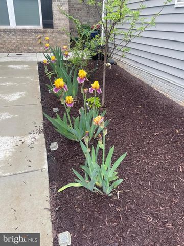 13516 GOLDENEYE CIR, Clarksburg, MD 20871