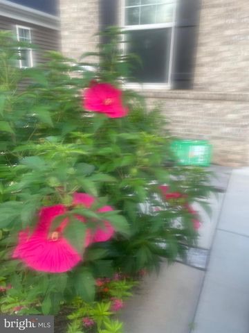 13516 GOLDENEYE CIR, Clarksburg, MD 20871