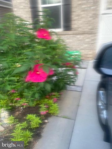 13516 GOLDENEYE CIR, Clarksburg, MD 20871