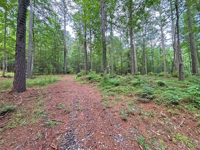 10AC Lovejoy Lane, Talking Rock, GA 30175