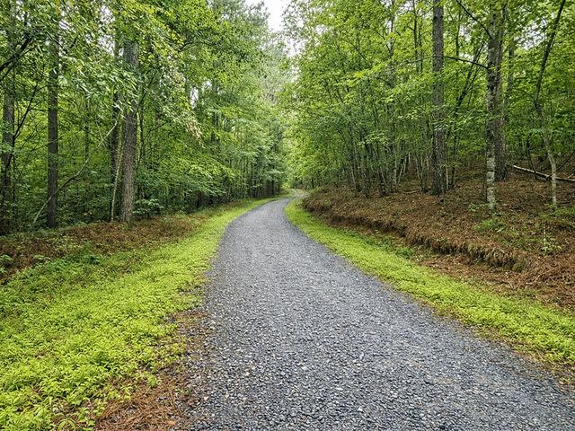 10AC Lovejoy Lane, Talking Rock, GA 30175