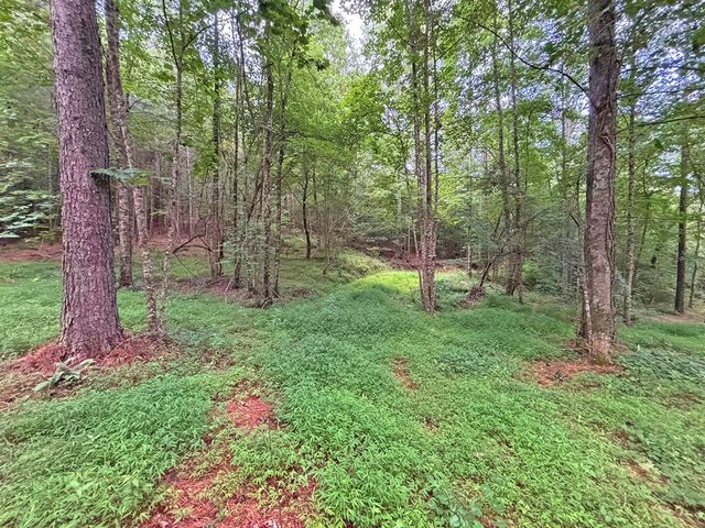 10AC Lovejoy Lane, Talking Rock, GA 30175