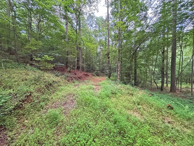 10AC Lovejoy Lane, Talking Rock, GA 30175