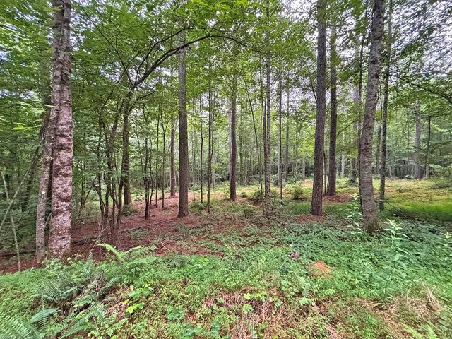 10AC Lovejoy Lane, Talking Rock, GA 30175
