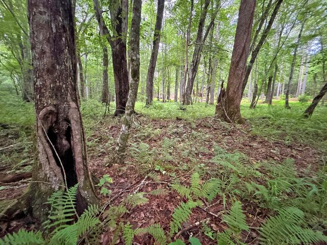 10AC Lovejoy Lane, Talking Rock, GA 30175