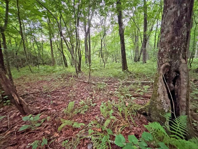 10AC Lovejoy Lane, Talking Rock, GA 30175