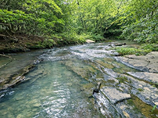 10AC Lovejoy Lane, Talking Rock, GA 30175