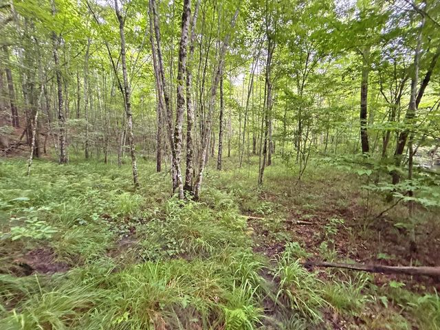 10AC Lovejoy Lane, Talking Rock, GA 30175