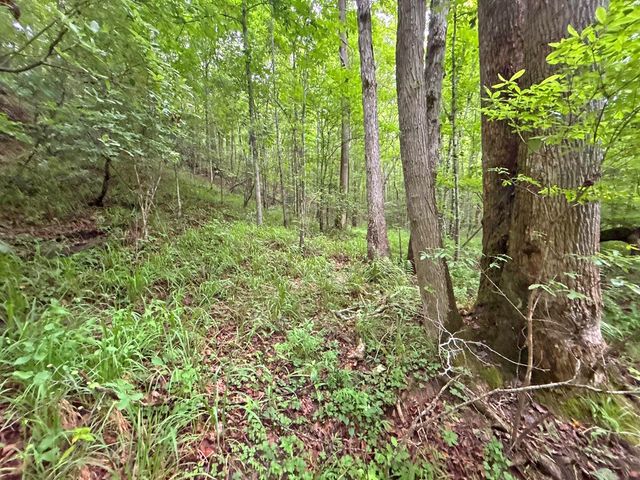 10AC Lovejoy Lane, Talking Rock, GA 30175