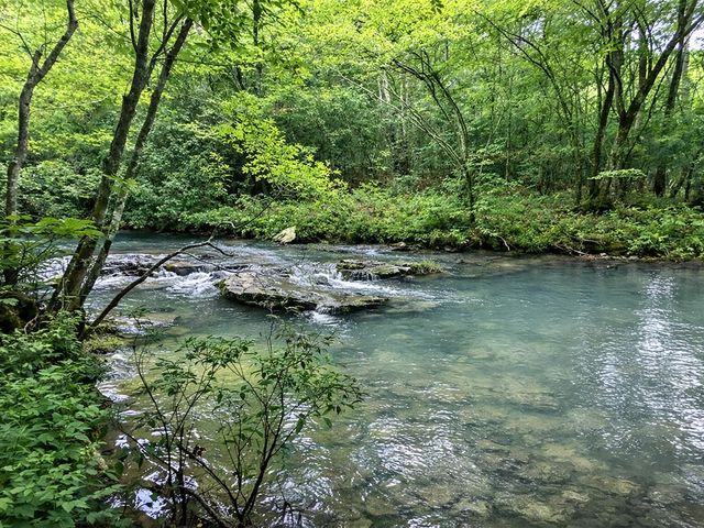 10AC Lovejoy Lane, Talking Rock, GA 30175