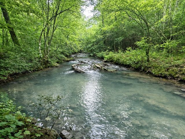 10AC Lovejoy Lane, Talking Rock, GA 30175