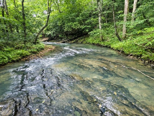 10AC Lovejoy Lane, Talking Rock, GA 30175