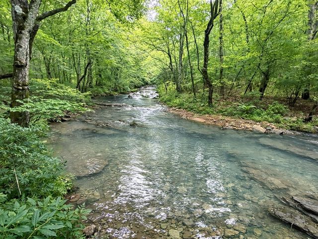 10AC Lovejoy Lane, Talking Rock, GA 30175