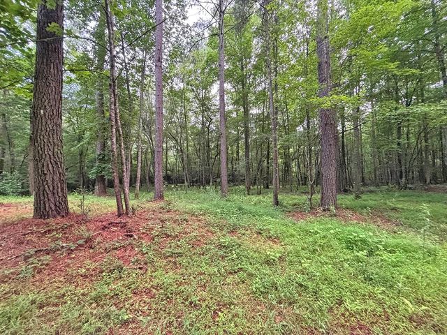 10AC Lovejoy Lane, Talking Rock, GA 30175
