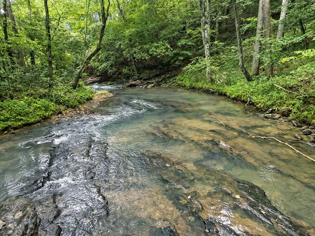 10AC Lovejoy Lane, Talking Rock, GA 30175