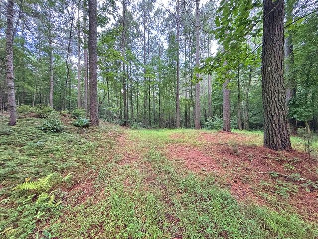 10AC Lovejoy Lane, Talking Rock, GA 30175