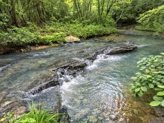 10AC Lovejoy Lane, Talking Rock, GA 30175