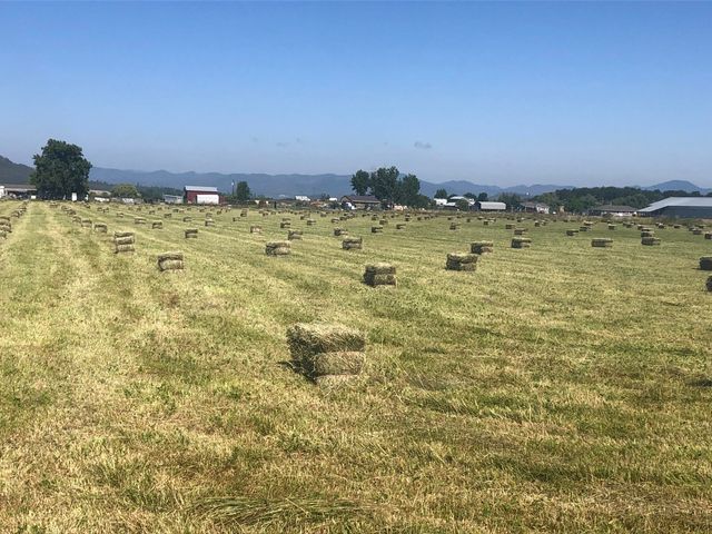 2795 Ball Road, Eagle Point, OR 97524