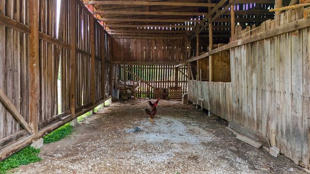 4088 State Highway 437, West Liberty, KY 41472