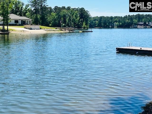 1072 Vansant Road, Leesville, SC 29070