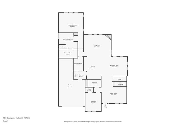 1210 Blazingstar Drive, Haslet, TX 76177