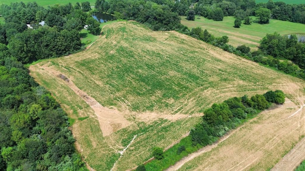 0000 New Hope Church Road, Benton, IL 62812 — photo 5