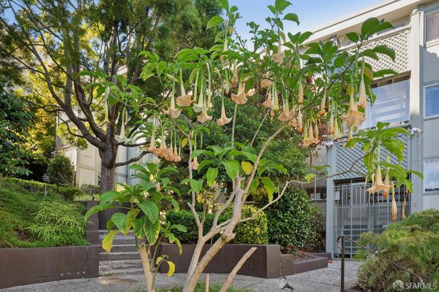 1901 Eddy Street 3, San Francisco, CA 94115