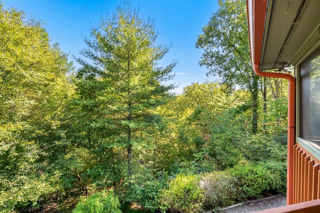 138 Oakwood Trail, Mineral Bluff, GA 30559