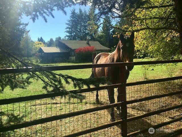9601 El Camino Lane SE, Yelm, WA 98597