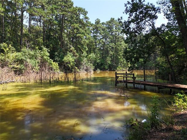 TBD James Lane, Coldspring, TX 77331