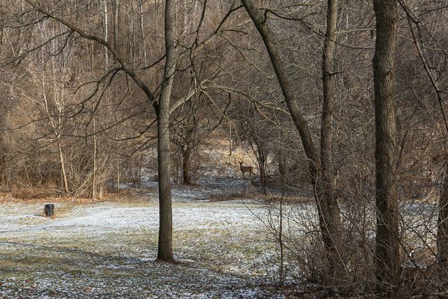 11063 95TH Avenue, Blue Grass, IA 52726