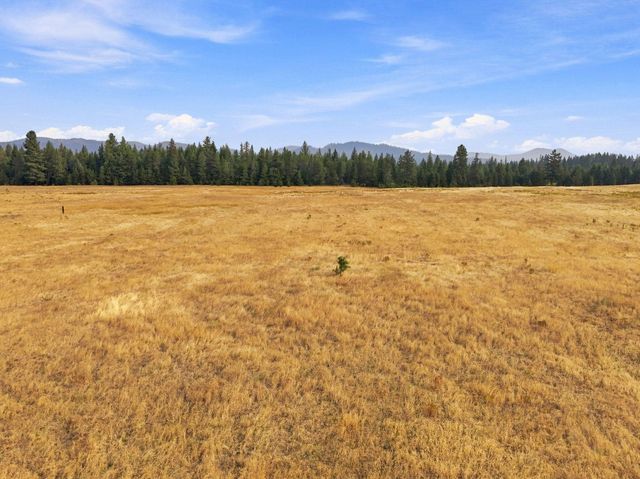 NKN Camden Rd, Newport, WA 99156