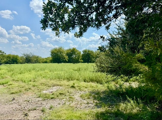 8796 Griffin Lane, Crandall, TX 75114