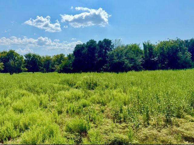 8796 Griffin Lane, Crandall, TX 75114