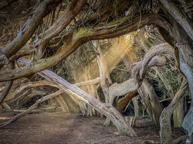 41569 Hatchway, The Sea Ranch, CA 95497