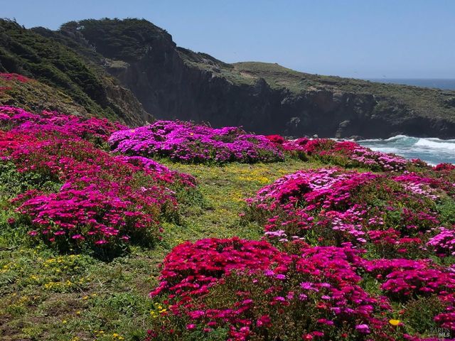 41569 Hatchway, The Sea Ranch, CA 95497