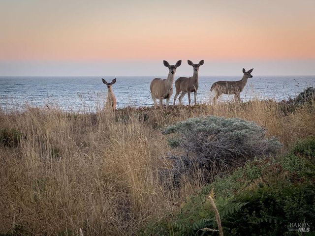 41569 Hatchway, The Sea Ranch, CA 95497