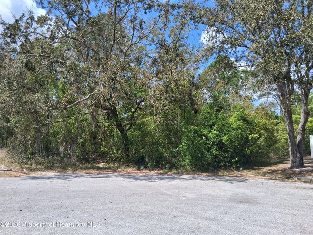 9159 Liberator Court, Spring Hill, FL 34608