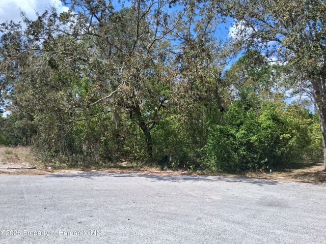 9159 Liberator Court, Spring Hill, FL 34608