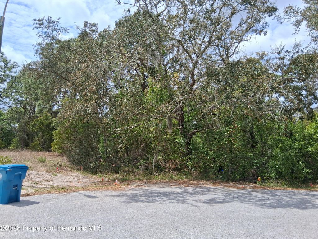 9159 Liberator Court, Spring Hill, FL 34608