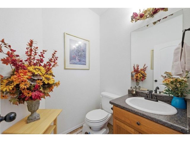 7506 Back Stretch Dr, Wellington, CO 80549