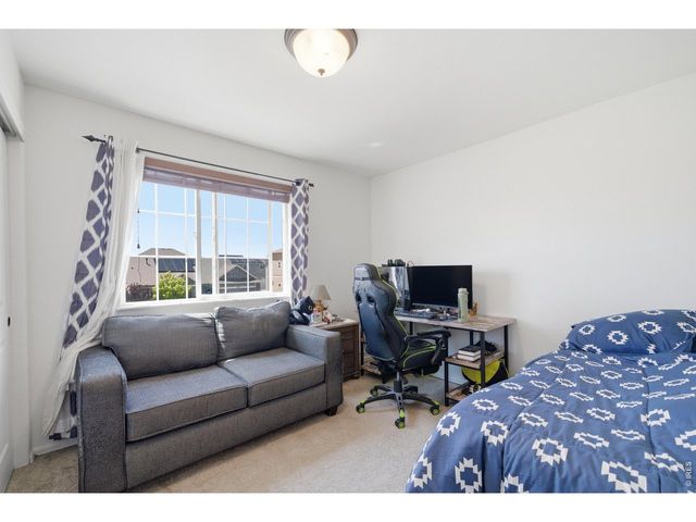 7506 Back Stretch Dr, Wellington, CO 80549