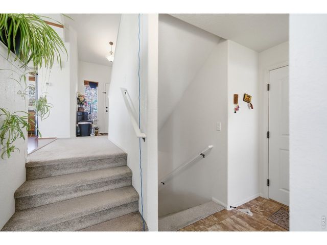 7506 Back Stretch Dr, Wellington, CO 80549