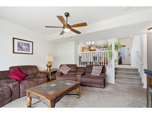 7506 Back Stretch Dr, Wellington, CO 80549