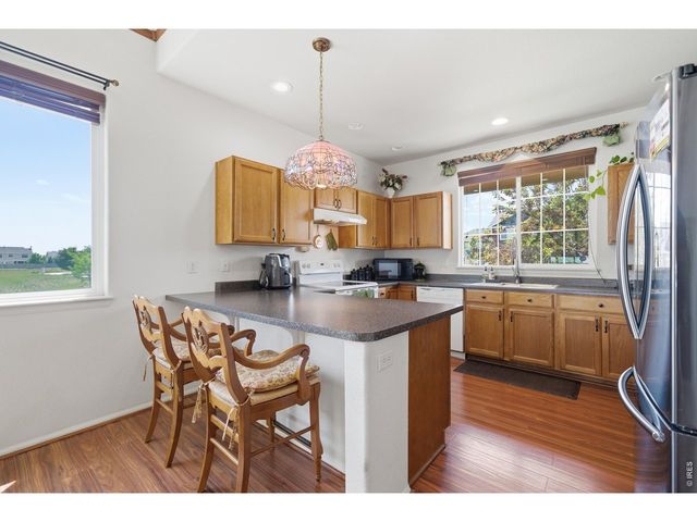 7506 Back Stretch Dr, Wellington, CO 80549