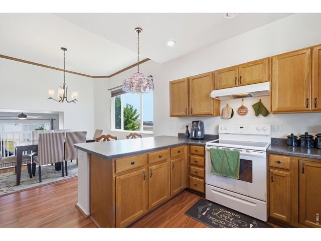 7506 Back Stretch Dr, Wellington, CO 80549