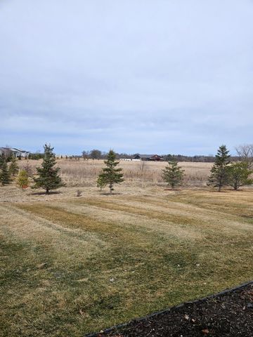 19236 101st Place, Rogers, MN 55374